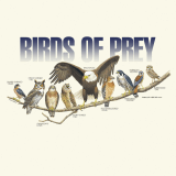Birds of Prey T-Shirt